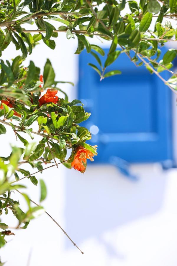 Mykonos In White Villa Mykonos Town Exteriör bild